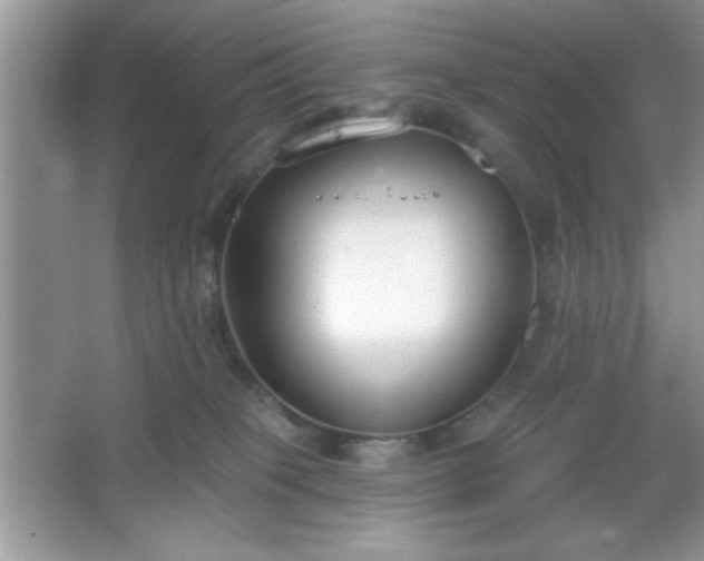 X0000067330085200604030944