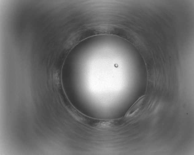 X0000067330086200604030944