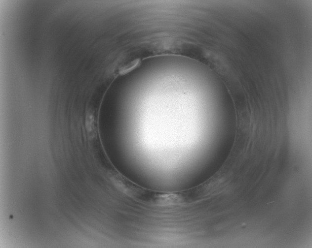 X0000067330087200604030944