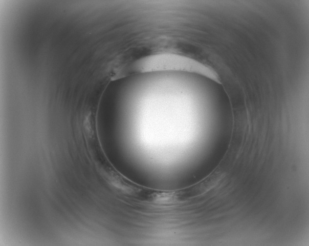 X0000067330088200604030944