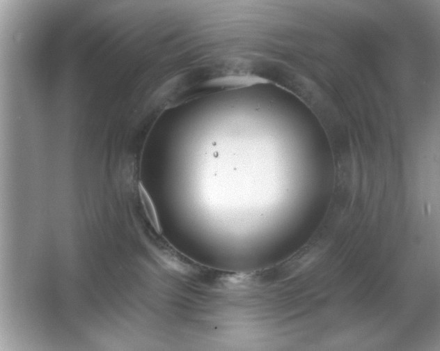 X0000067330092200604030944