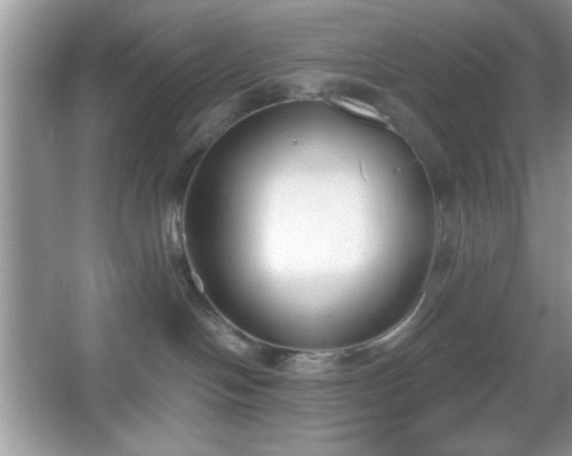 X0000067330094200604030944