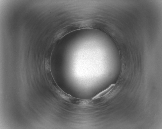 X0000067330096200604030944