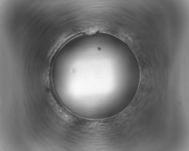 X0000067330098200604030944