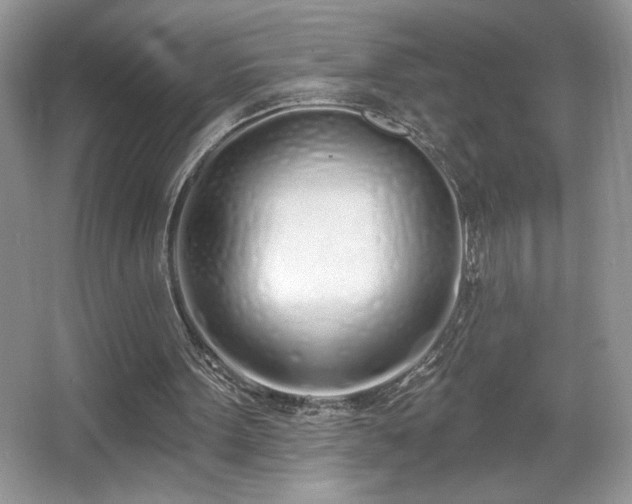 X0000067330099200604030944