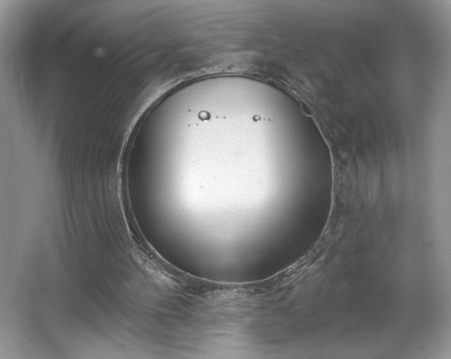 X0000067330100200604030943