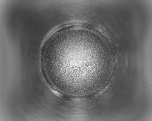 X0000067330101200604030943