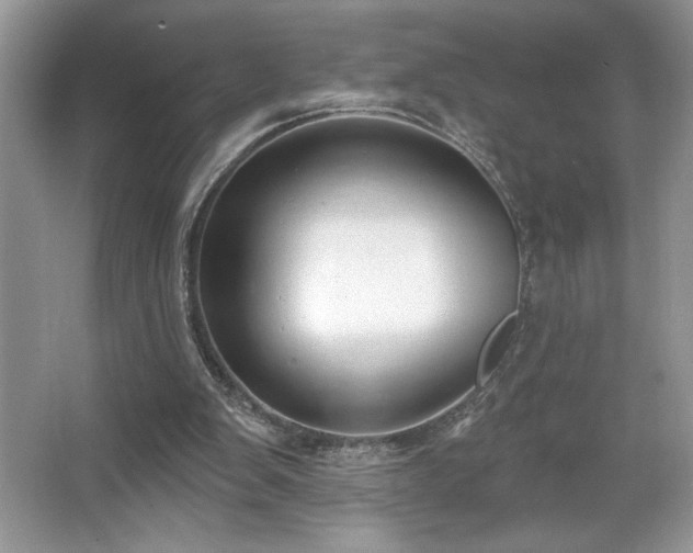 X0000067330103200604030943