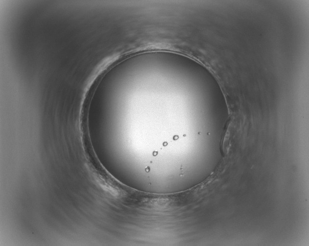 X0000067330104200604030943