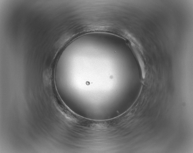 X0000067330107200604030943