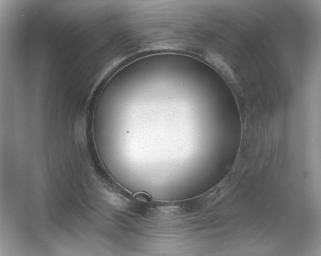 X0000067330108200604030943