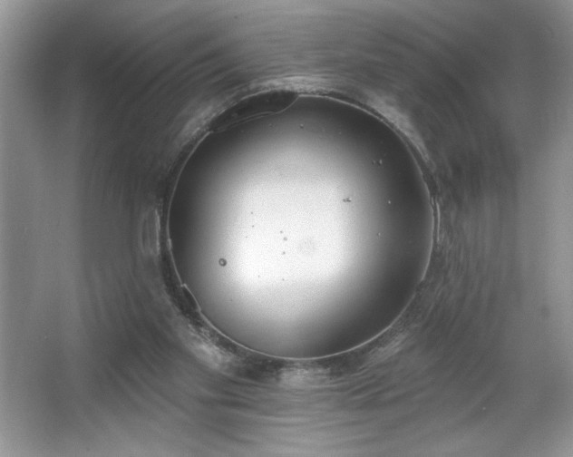 X0000067330109200604030943