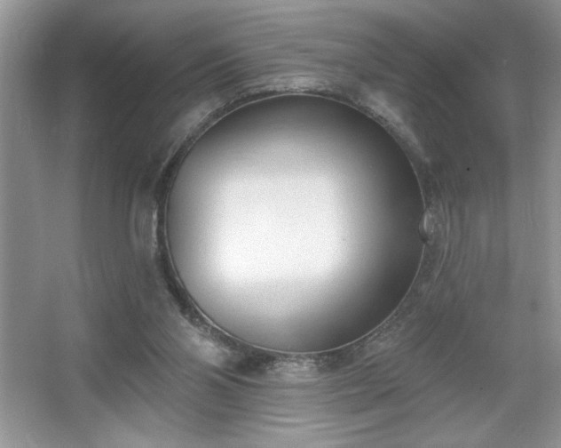 X0000067330110200604030943