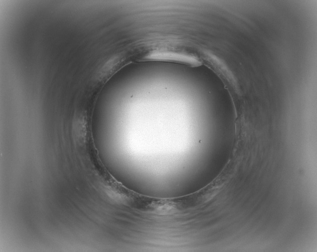 X0000067330113200604030943