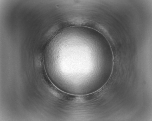 X0000067330114200604030943