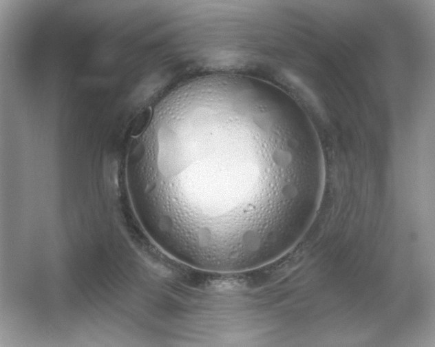 X0000067330115200604030943