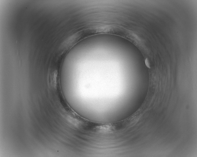 X0000067330118200604030943