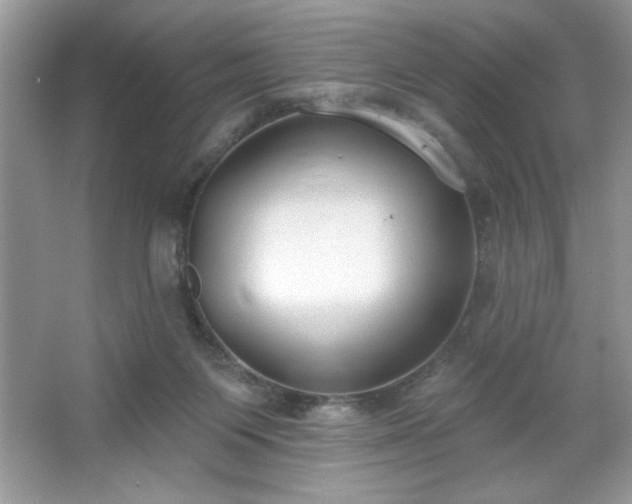 X0000067330119200604030943