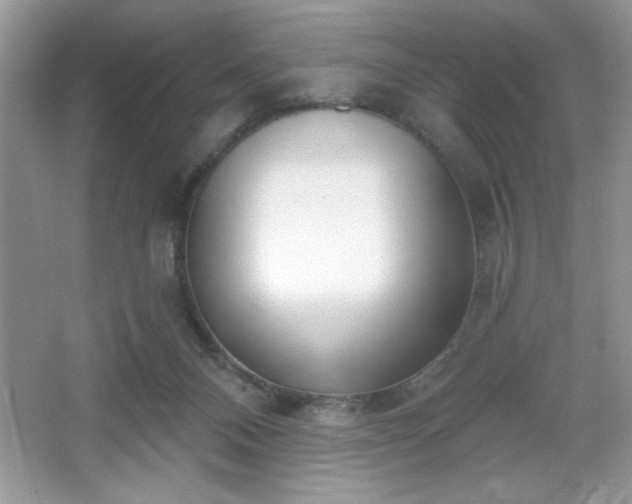 X0000067330120200604030943