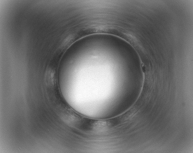 X0000067330123200604030943