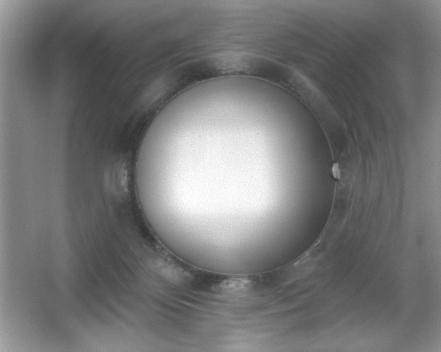 X0000067330124200604030943