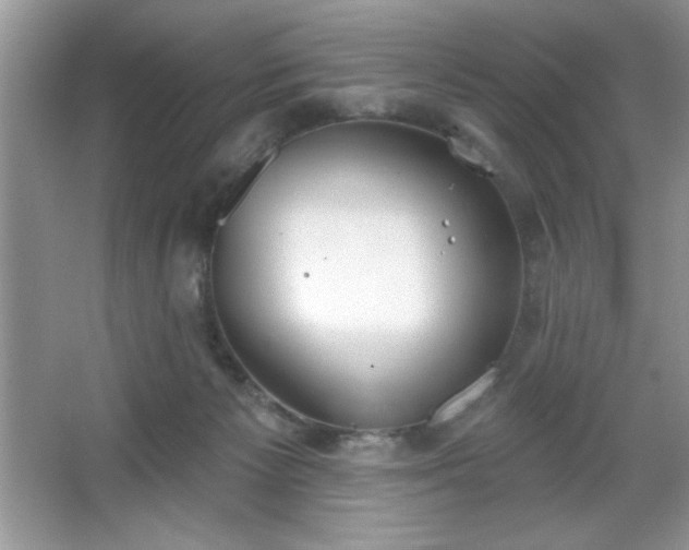 X0000067330125200604030943