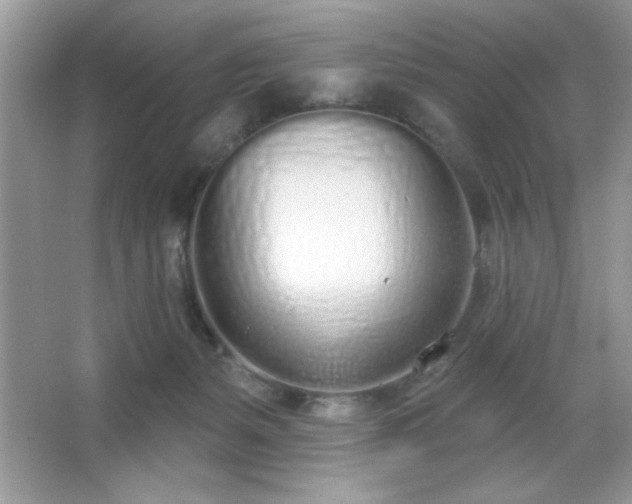 X0000067330127200604030943