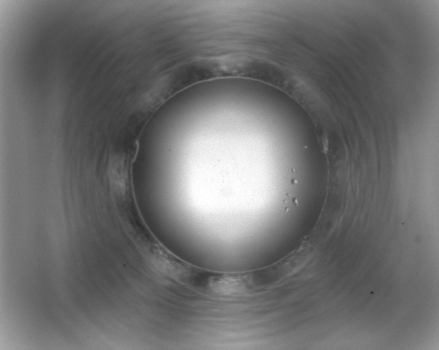 X0000067330129200604030943