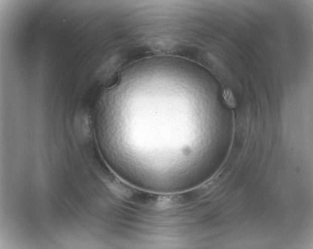 X0000067330130200604030943