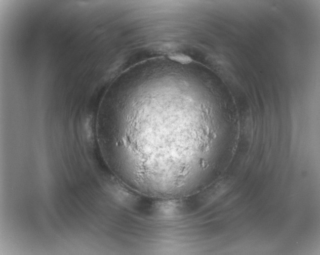 X0000067330131200604030943