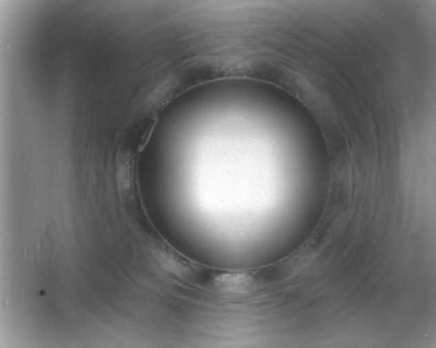 X0000067330133200604030943