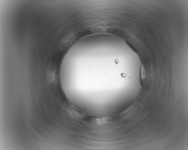 X0000067330134200604030943