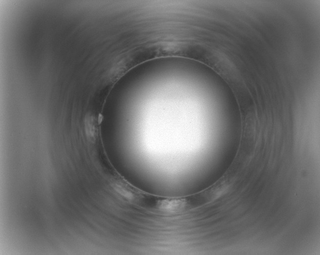 X0000067330135200604030943