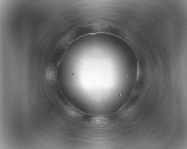 X0000067330137200604030943