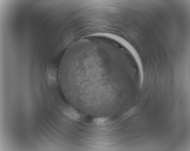 X0000067330139200604030943