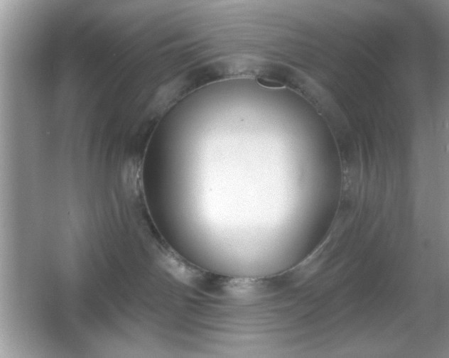 X0000067330142200604030943