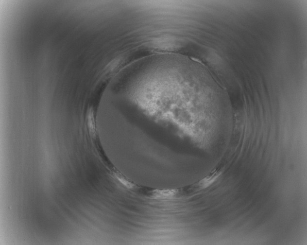 X0000067330143200604030943