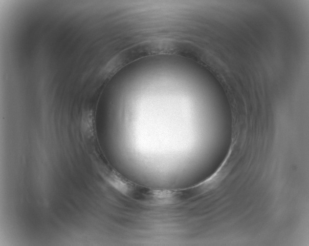 X0000067330144200604030943