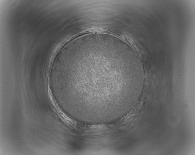 X0000067330145200604030942