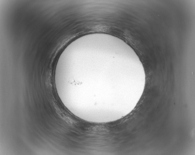 X0000067330146200604030942