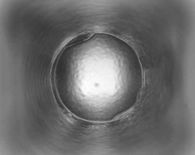 X0000067330147200604030942