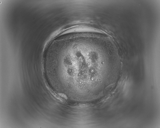 X0000067330149200604030942