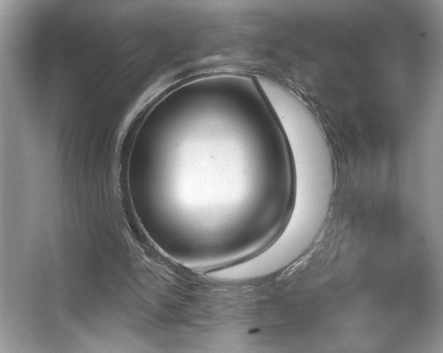 X0000067330150200604030942