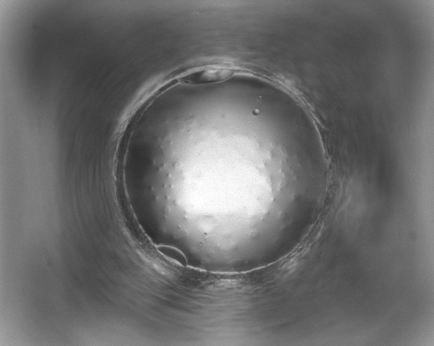 X0000067330151200604030942