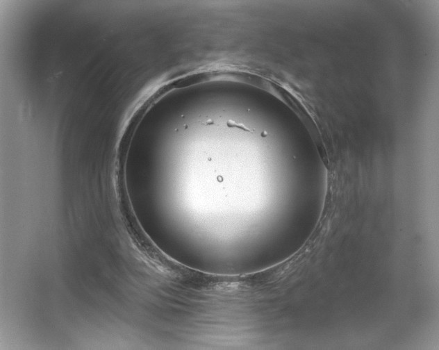 X0000067330152200604030942