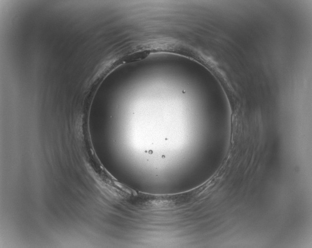 X0000067330154200604030942