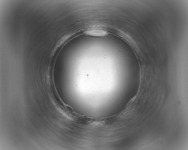 X0000067330155200604030942