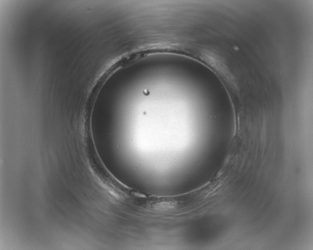 X0000067330156200604030942