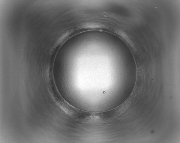 X0000067330159200604030942