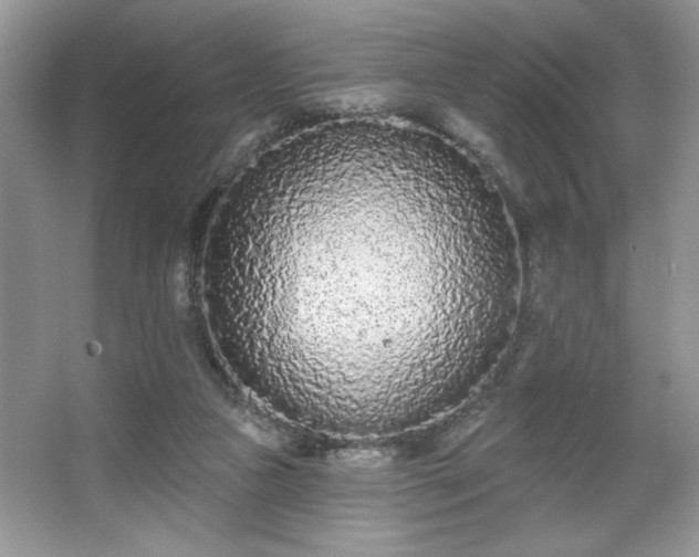 X0000067330161200604030942